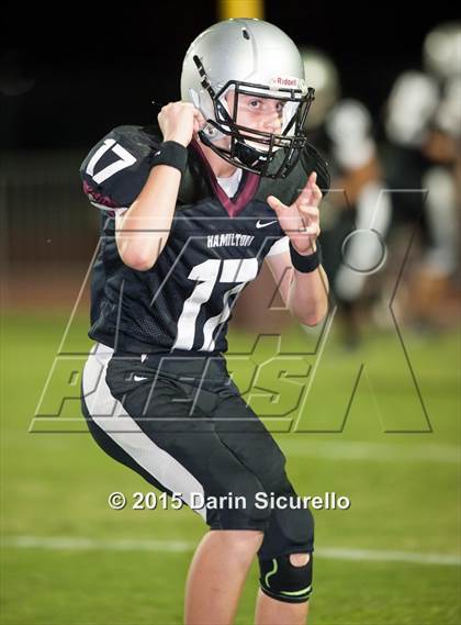 Thumbnail 3 in Basha @ Hamilton photogallery.