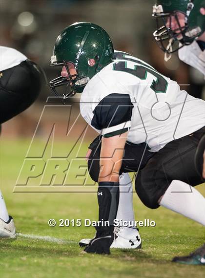 Thumbnail 2 in Basha @ Hamilton photogallery.