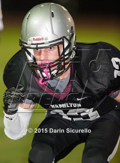 Thumbnail 2 in Basha @ Hamilton photogallery.