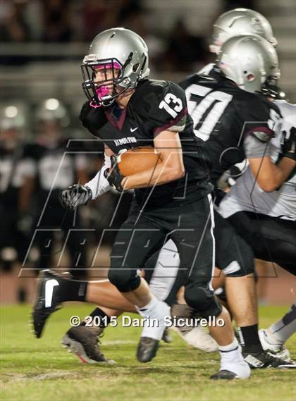 Thumbnail 2 in Basha @ Hamilton photogallery.