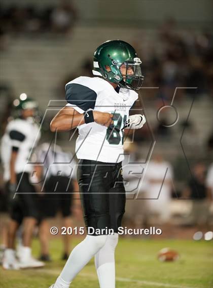 Thumbnail 3 in Basha @ Hamilton photogallery.