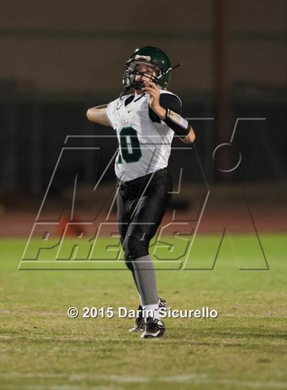 Thumbnail 1 in Basha @ Hamilton photogallery.