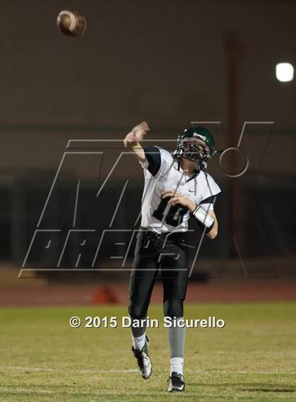 Thumbnail 2 in Basha @ Hamilton photogallery.