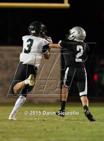 Thumbnail 1 in Basha @ Hamilton photogallery.