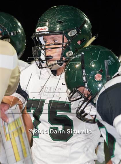 Thumbnail 3 in Basha @ Hamilton photogallery.