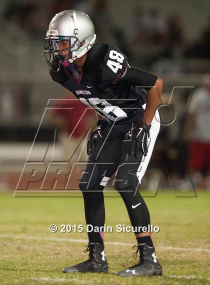 Thumbnail 1 in Basha @ Hamilton photogallery.