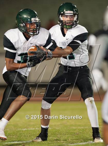 Thumbnail 2 in Basha @ Hamilton photogallery.