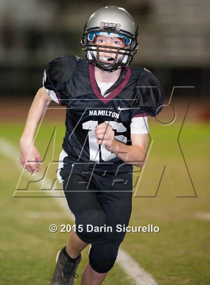 Thumbnail 1 in Basha @ Hamilton photogallery.