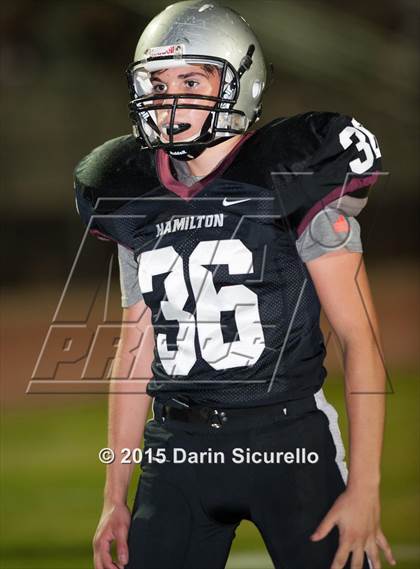 Thumbnail 2 in Basha @ Hamilton photogallery.