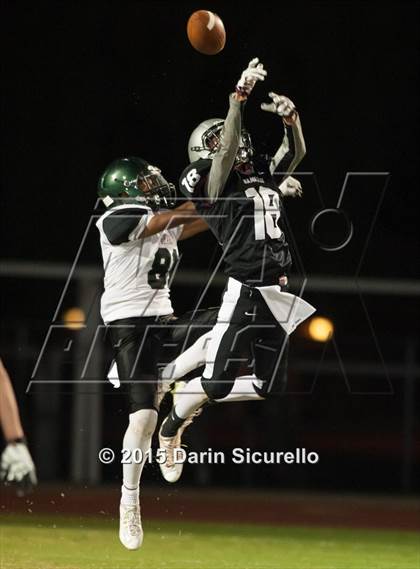 Thumbnail 2 in Basha @ Hamilton photogallery.