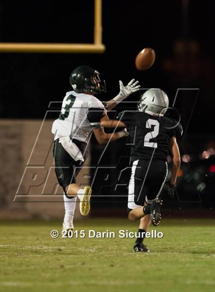 Thumbnail 3 in Basha @ Hamilton photogallery.