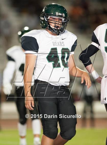 Thumbnail 3 in Basha @ Hamilton photogallery.