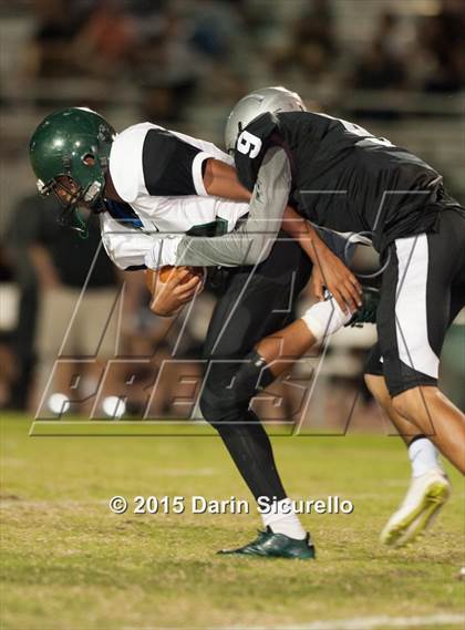 Thumbnail 2 in Basha @ Hamilton photogallery.