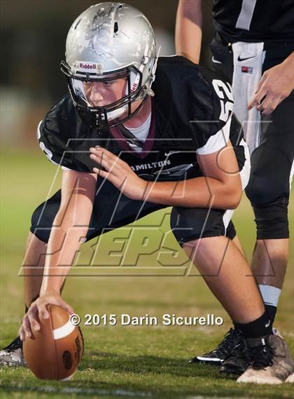 Thumbnail 3 in Basha @ Hamilton photogallery.
