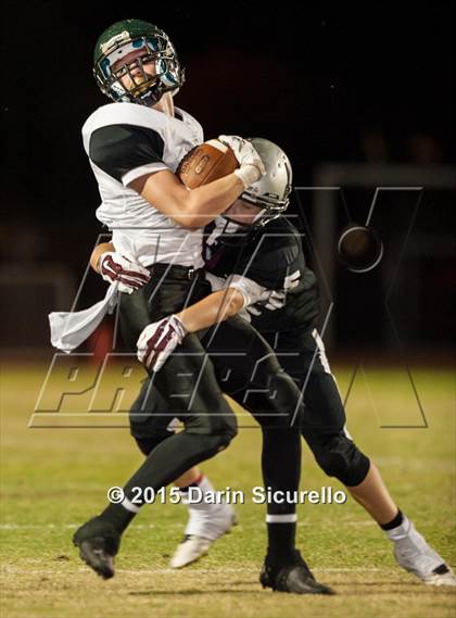 Thumbnail 3 in Basha @ Hamilton photogallery.
