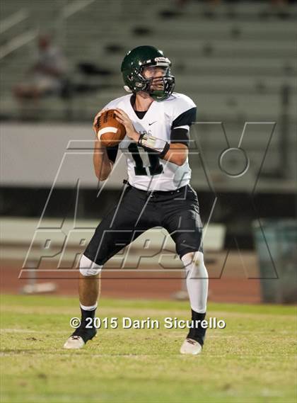 Thumbnail 3 in Basha @ Hamilton photogallery.