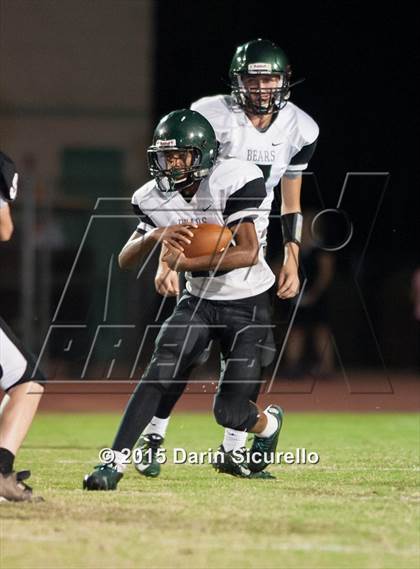 Thumbnail 3 in Basha @ Hamilton photogallery.