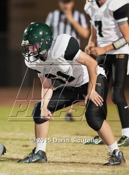 Thumbnail 2 in Basha @ Hamilton photogallery.