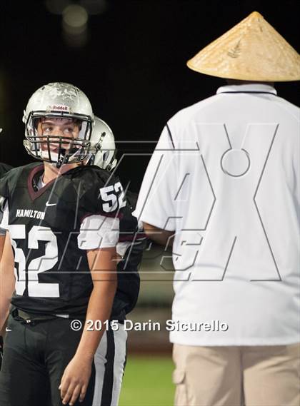 Thumbnail 3 in Basha @ Hamilton photogallery.