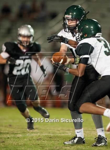 Thumbnail 3 in Basha @ Hamilton photogallery.