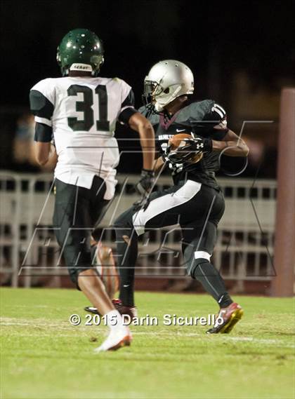 Thumbnail 3 in Basha @ Hamilton photogallery.