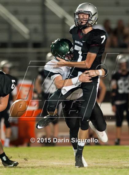 Thumbnail 3 in Basha @ Hamilton photogallery.