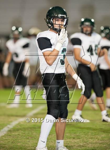 Thumbnail 3 in Basha @ Hamilton photogallery.