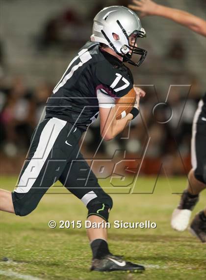 Thumbnail 1 in Basha @ Hamilton photogallery.