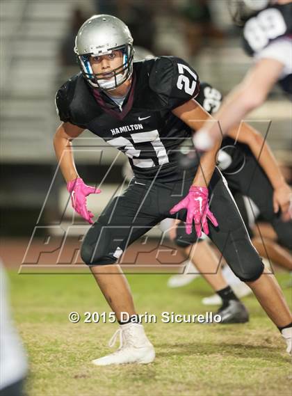 Thumbnail 1 in Basha @ Hamilton photogallery.