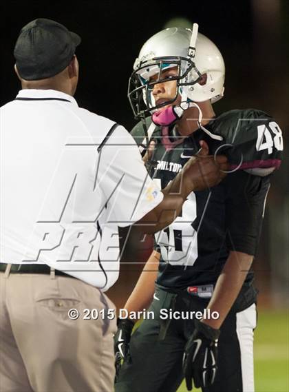 Thumbnail 1 in Basha @ Hamilton photogallery.