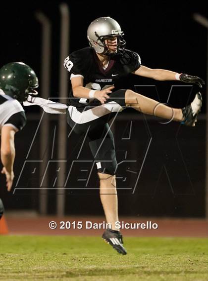 Thumbnail 3 in Basha @ Hamilton photogallery.