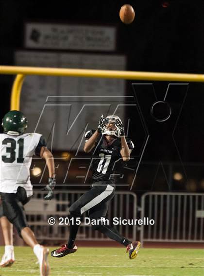 Thumbnail 1 in Basha @ Hamilton photogallery.
