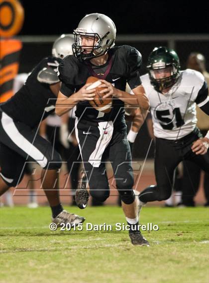 Thumbnail 3 in Basha @ Hamilton photogallery.