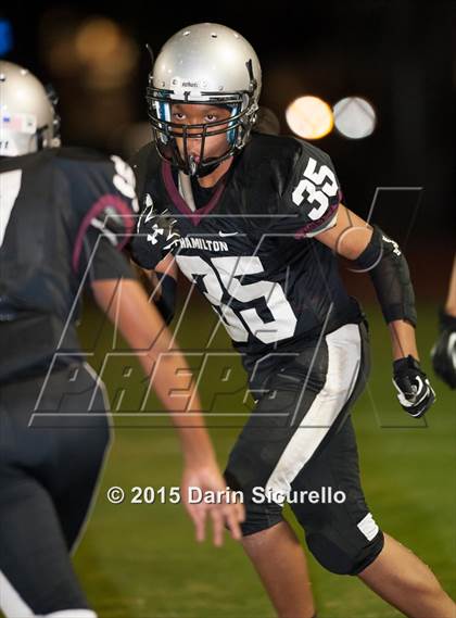 Thumbnail 1 in Basha @ Hamilton photogallery.