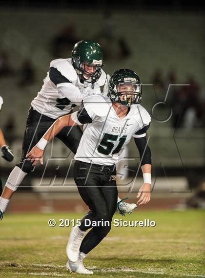 Thumbnail 2 in Basha @ Hamilton photogallery.