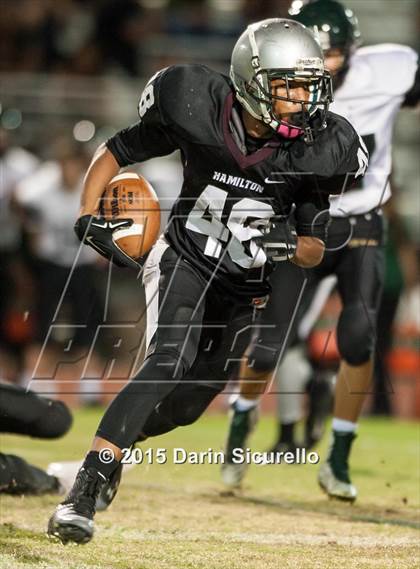 Thumbnail 2 in Basha @ Hamilton photogallery.