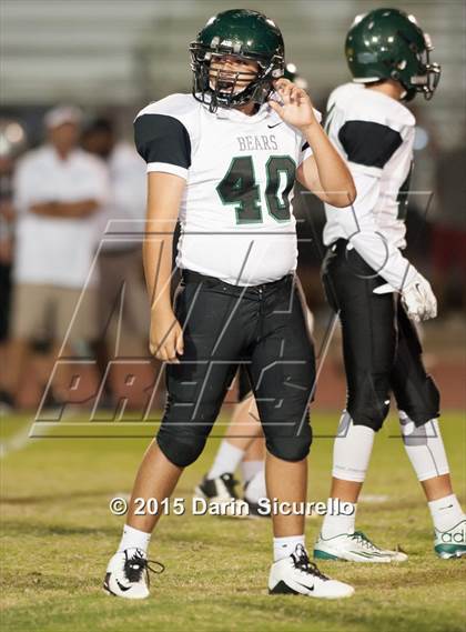 Thumbnail 1 in Basha @ Hamilton photogallery.