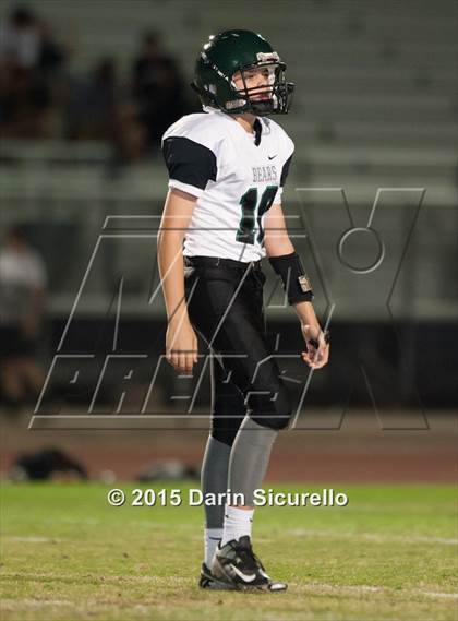 Thumbnail 1 in Basha @ Hamilton photogallery.
