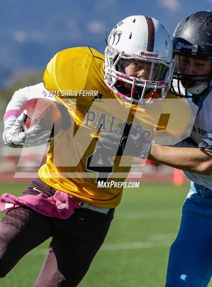 Thumbnail 3 in Vista Ridge vs. Palmer photogallery.