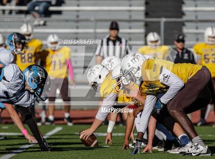 Thumbnail 3 in Vista Ridge vs. Palmer photogallery.