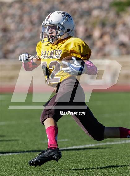 Thumbnail 2 in Vista Ridge vs. Palmer photogallery.