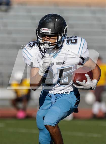 Thumbnail 3 in Vista Ridge vs. Palmer photogallery.