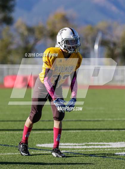 Thumbnail 1 in Vista Ridge vs. Palmer photogallery.