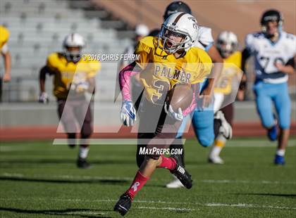 Thumbnail 1 in Vista Ridge vs. Palmer photogallery.