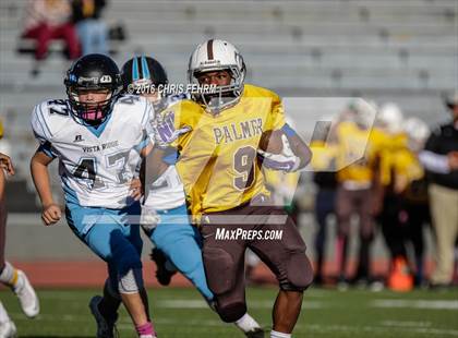 Thumbnail 2 in Vista Ridge vs. Palmer photogallery.