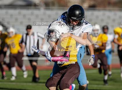 Thumbnail 3 in Vista Ridge vs. Palmer photogallery.