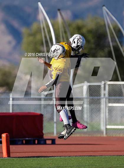 Thumbnail 2 in Vista Ridge vs. Palmer photogallery.