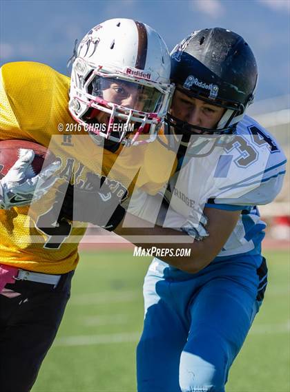 Thumbnail 1 in Vista Ridge vs. Palmer photogallery.