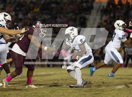 Thumbnail 3 in Parrish Community @ Braden River photogallery.