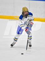 Photo from the gallery "Webster Thomas @ Webster Schroeder"